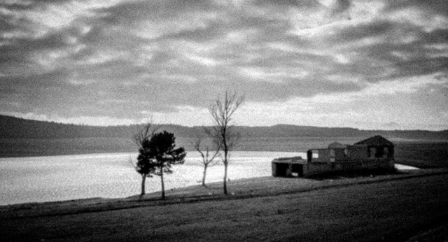 მიხეილ ქურდაძე ფოტოსერია ნატვრის ხე