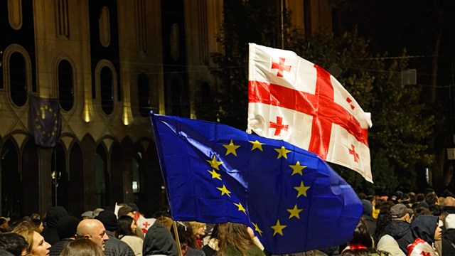 აქცია პროტესტი არჩევნები სალომე ზურაბიშვილი პარლამენტი