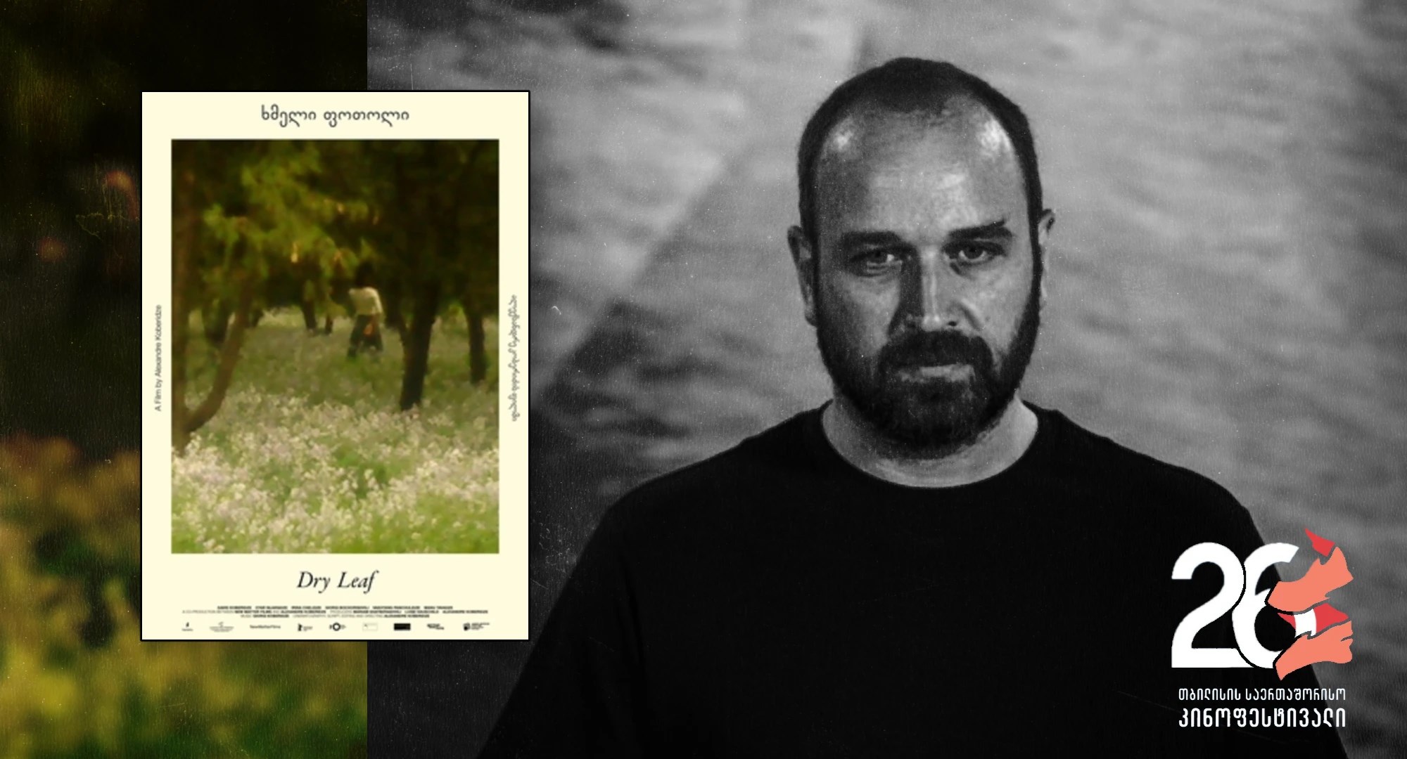 ალექსანდრე კობერიძე ხმელი ფოთოლი