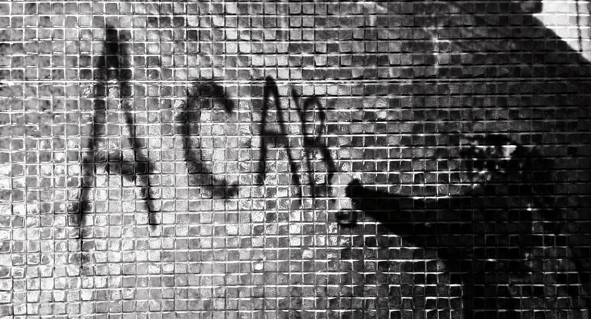 acab გიორგი ყოლბაია