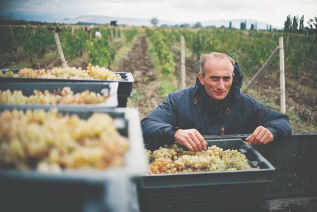 იაგო ბიტარიშვილი