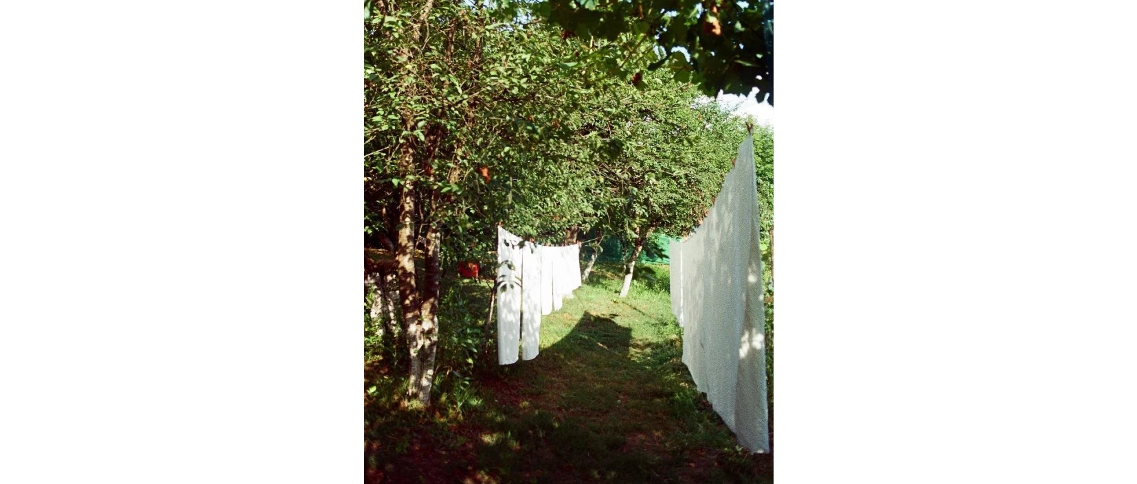 სოფლის ეზო