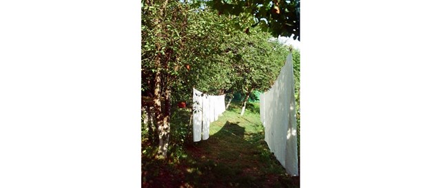 სოფლის ეზო