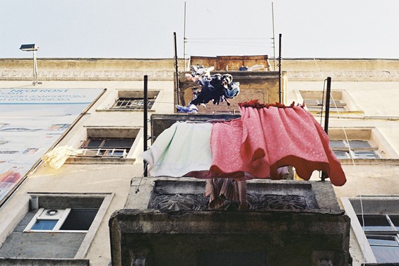 კორპუსი