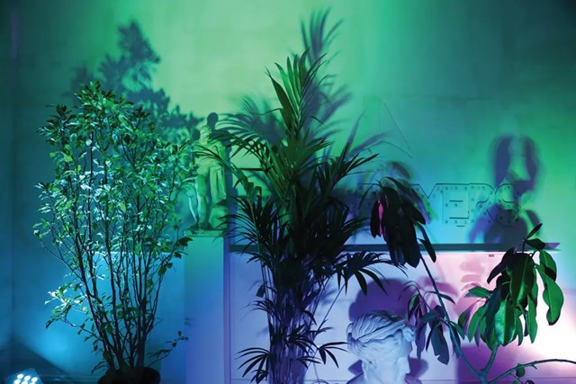 ანკა ბოჭორიშვილი