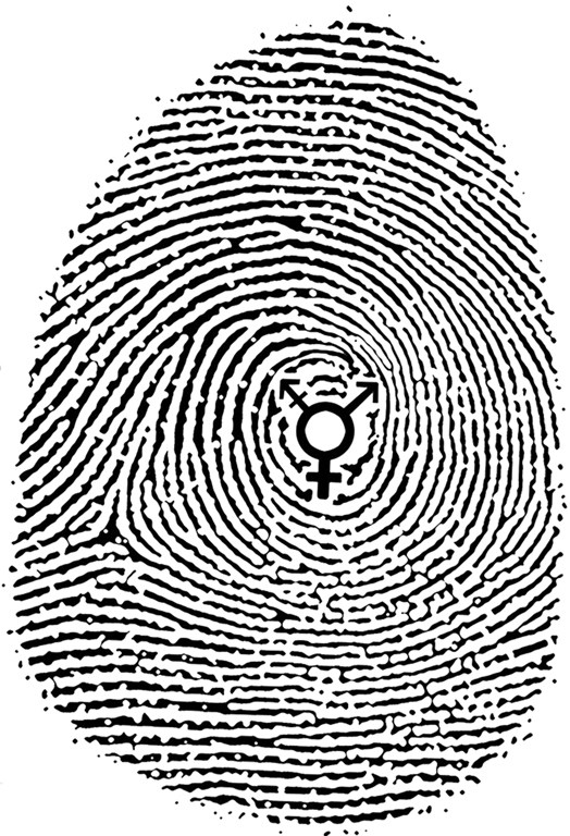 ანაბეჭდი