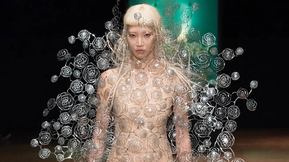 მოდების ჩვენება