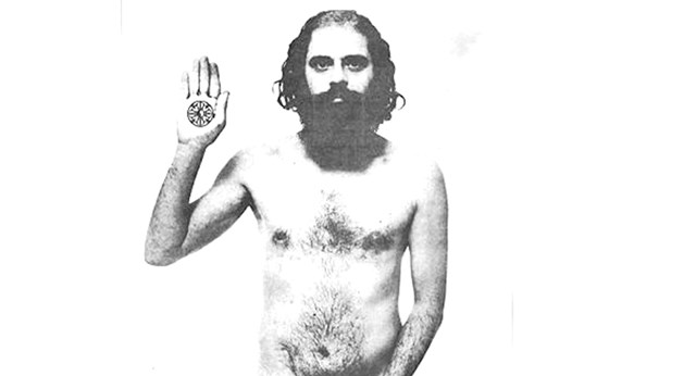 ლინ კოფინი