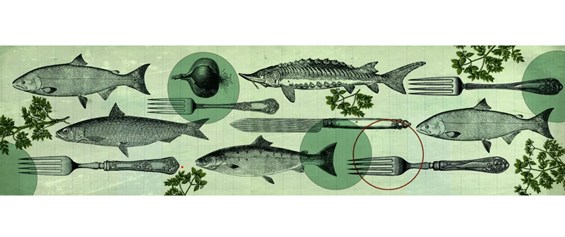 ილუსტრაცია თევზი