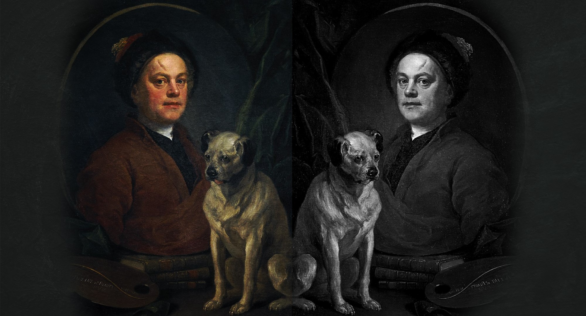 მისტერ ჰოგარტი დონალდ ტრამპი აშშ პრეზიდენტი