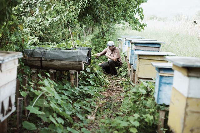 პაატა წულაია