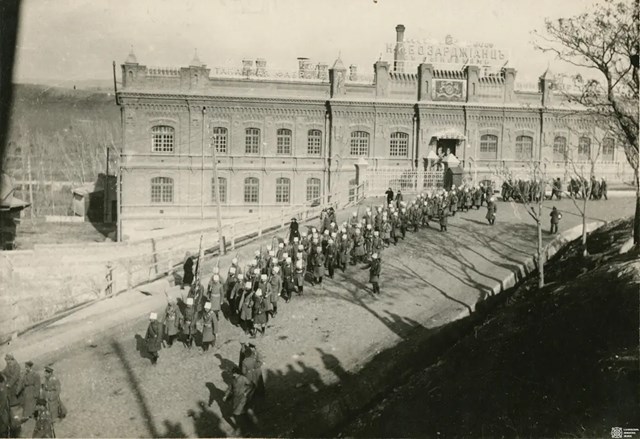 თამბაქოს გზა