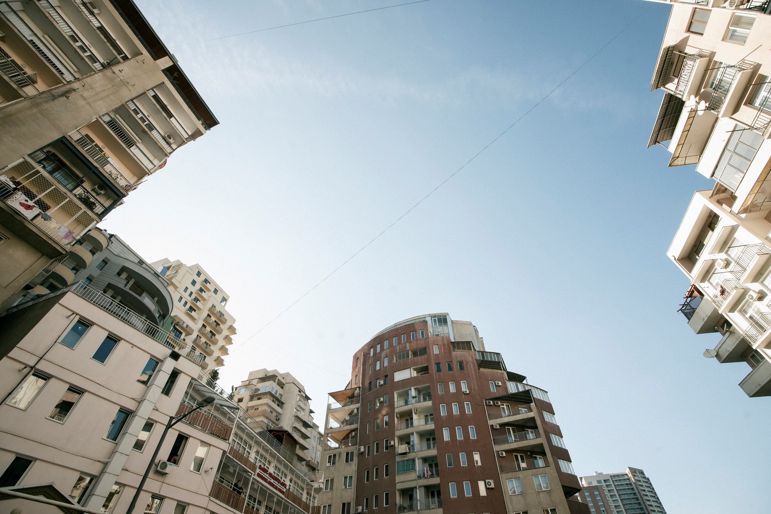 ფოტო: ლაშა (fox) ცერცვაძე