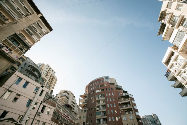 ფოტო: ლაშა (fox) ცერცვაძე