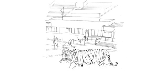 ვეფხვი ლაგუნასთან