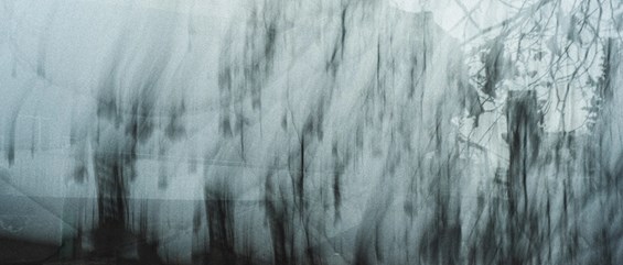 ალექს ჩიღვინაძე