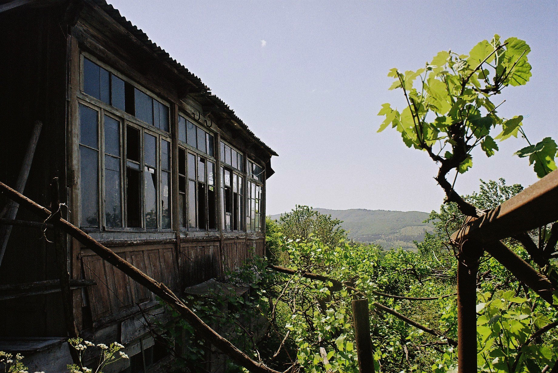 Maskless | Papa Sandro, Village Elbaqiaantkari (ENG/RUS) | INDIGO