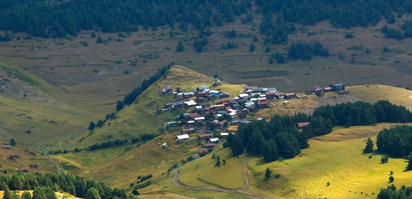თუშეთი