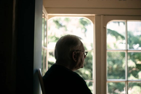 მაიკლ პალმერი