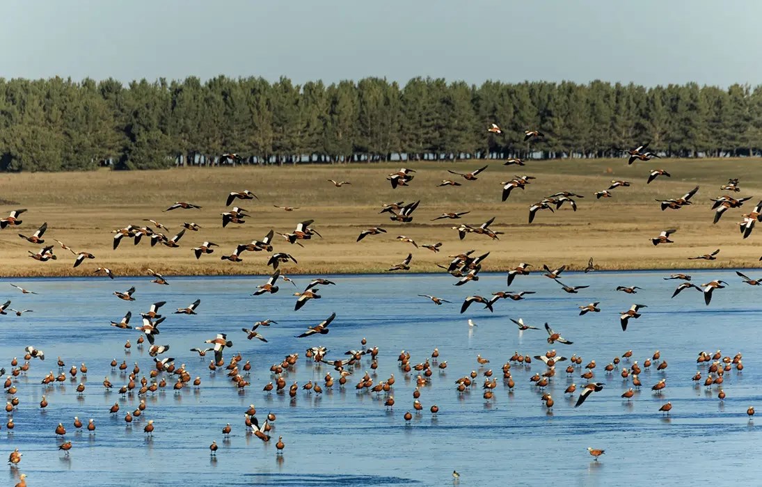 ჯავახეთის დაცული ტერიტორიები
