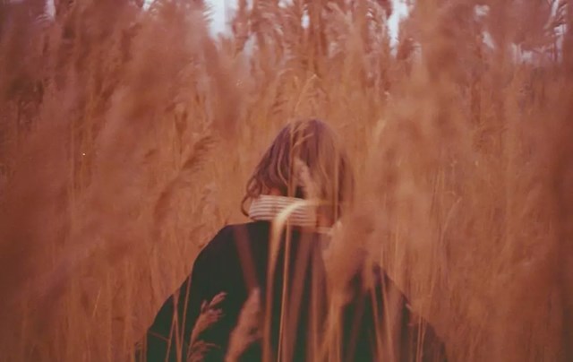 ფოტო ლექსიკონი