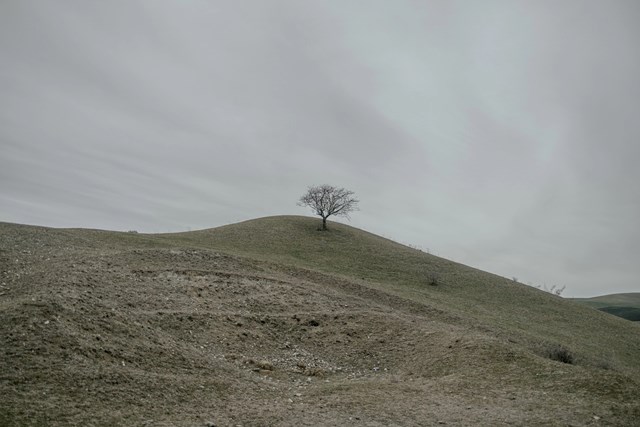 Mikheil Kurdadze Photography