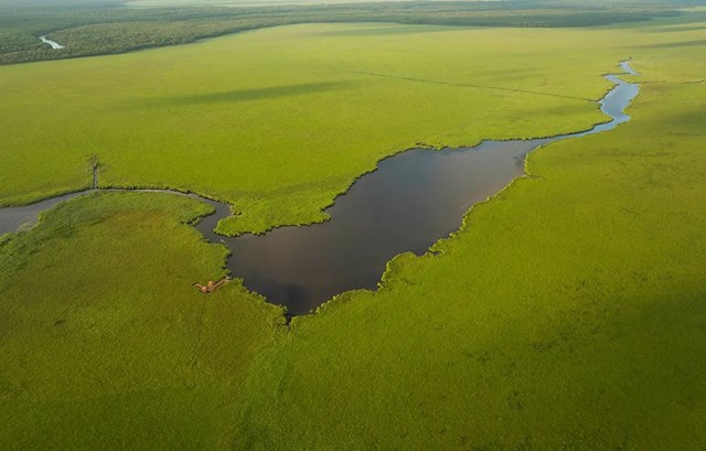 კოლხეთის ეროვნული პარკი