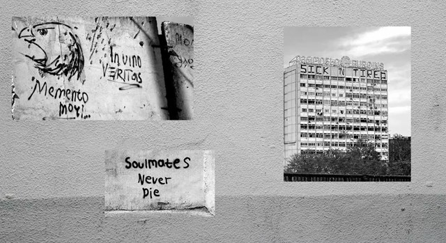 წიგნი ხმაური კედლებიდან