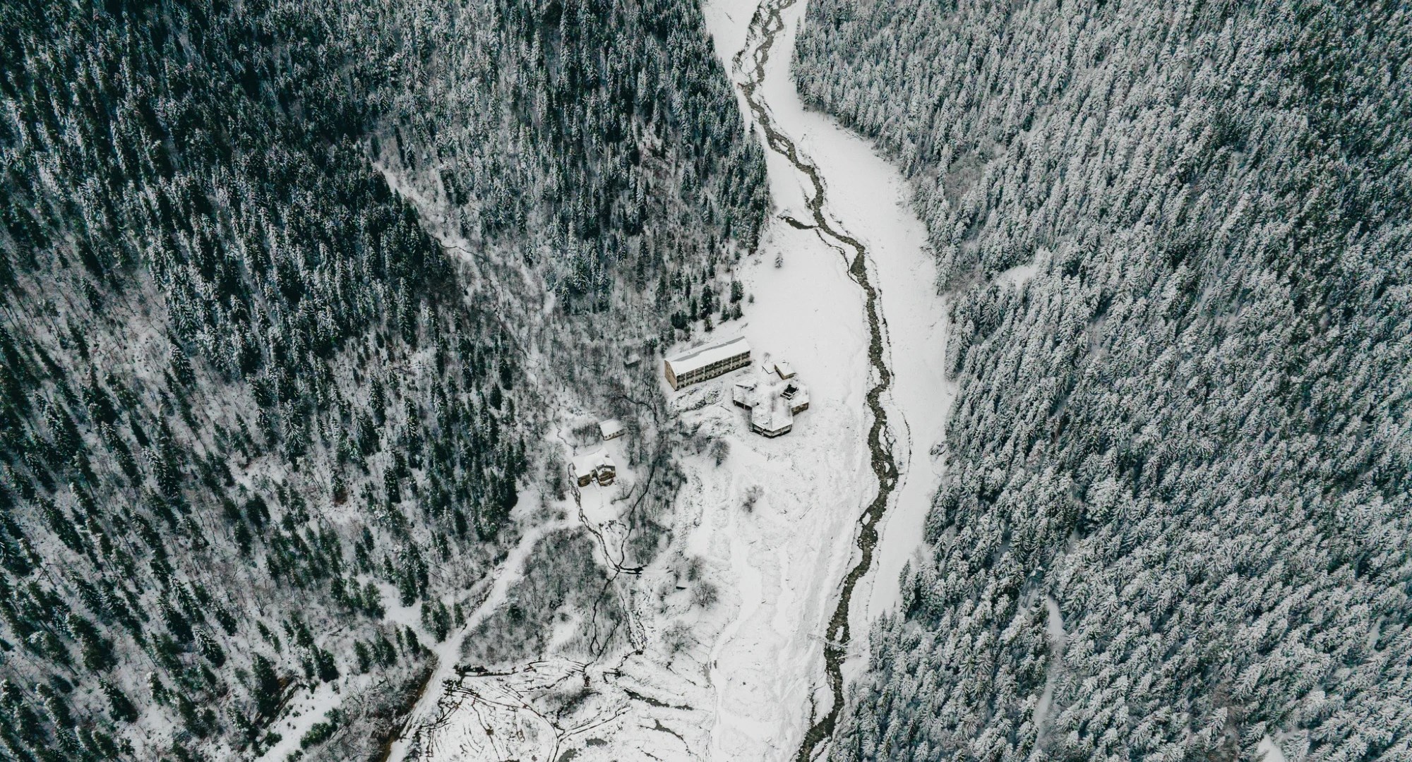 რაჭა შოვი სტიქია მეწყერი ნინო გუჯარაიძე