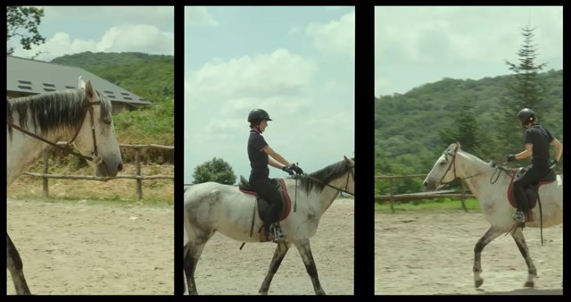 ჯირითი კიკეთის თავლაში 