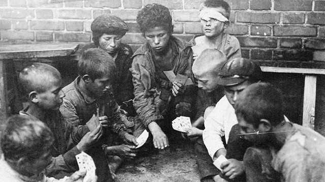 წითელი მიხაკი ასია ლაცისი