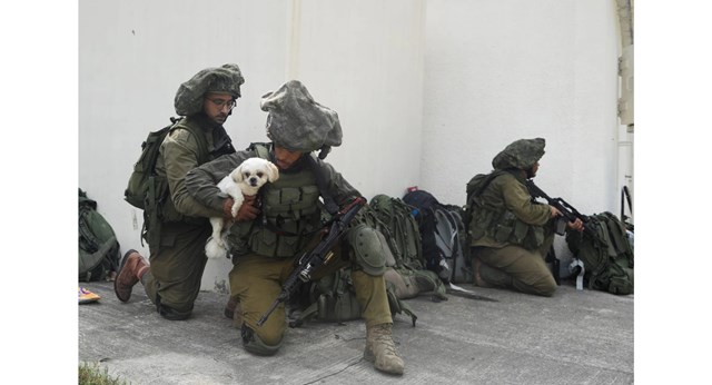 პალესტინა ისრაელი ეთგარ კერეთი 