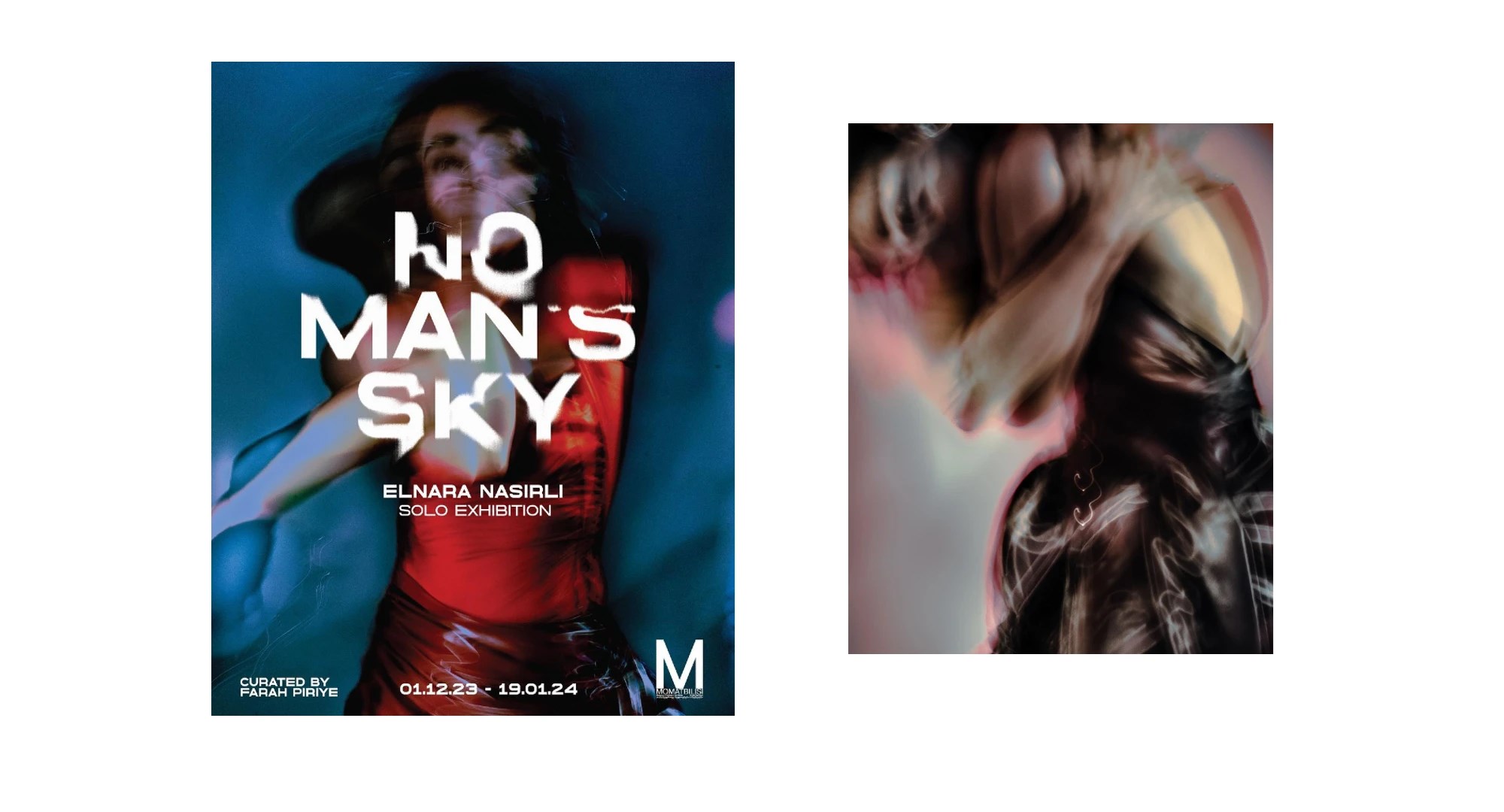 გამოფენა მუზეუმი არავის ზეცა ელნარა ნასირლი