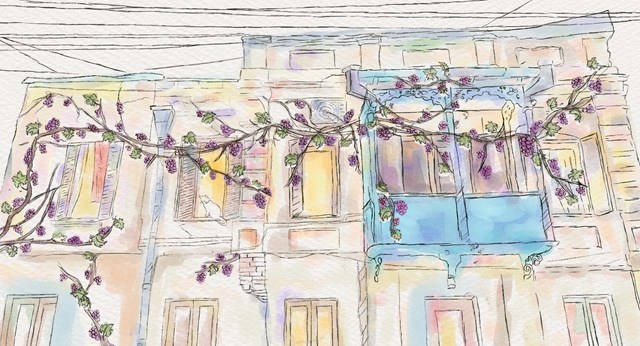 ღვინო ვახუშტი მენაბდე