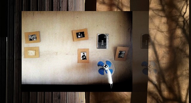 ნუცა აბაშიძის ფოტოამბავი სახლი წიწამურში