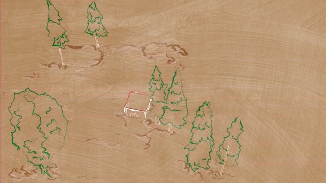 ტყე ბუნება ეკონომიკური კეთილდღეობა რაჭა ნამახვანჰესი